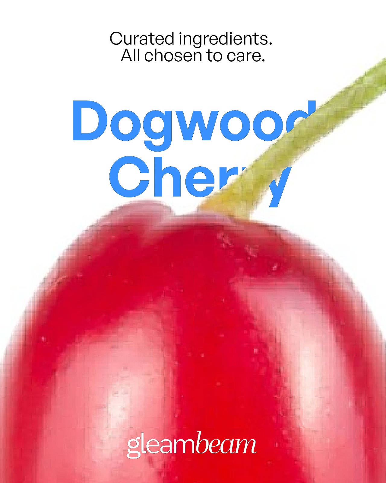 Cornus Officinalis Fruit Extract (Dogwood Cherry)